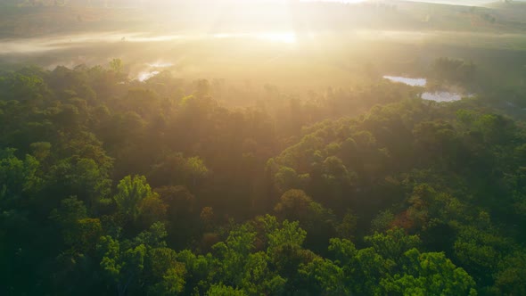 4K : Aerial view flight over the beautiful field in sunset. Countryside scenery. alt