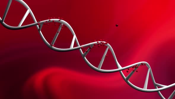 Virus On Dna Surface alt