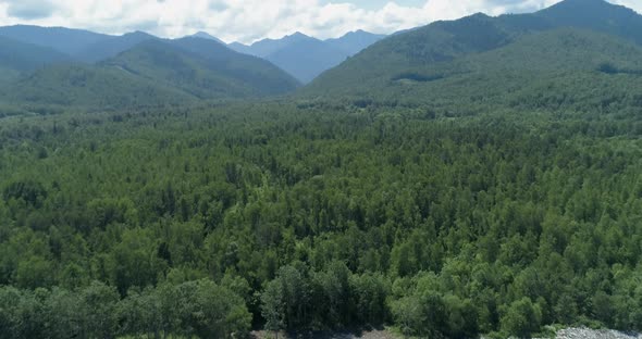 Garbage Dump in the Middle of the Forest. Mountains on the Background. Environmental Pollution alt