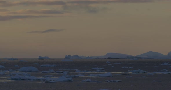 Iceberg and icefield alt