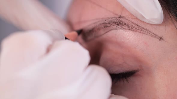 Closeup of Eyebrow Drawing By Pencil alt