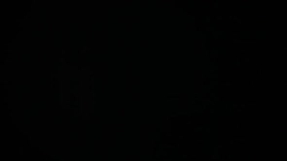 footage of rubber chicken dark background alt