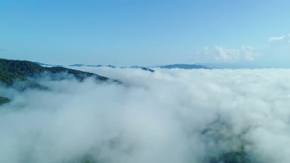 Aerial view drone flying over fog with Nature in morning Agriculture and farmer Rice fields Top Down alt
