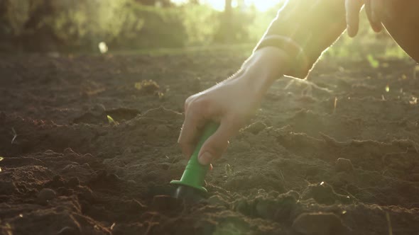 The Gardener Is Digging Hole With Garden Tools With A Shovel Lifting The Soil Preparing Place alt