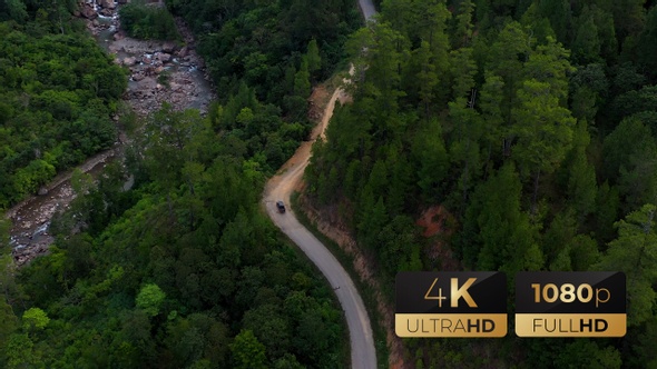 AH - Winding Road River Forest 02 alt