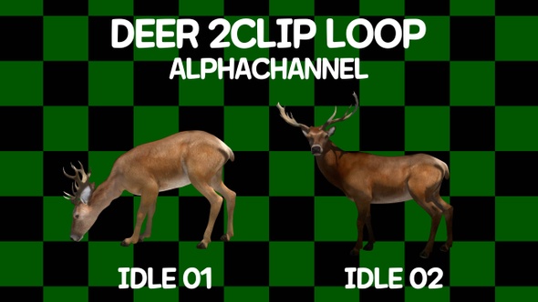 Deer 2 Clip Loop Alpha