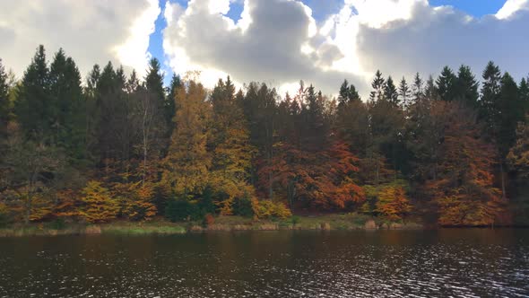 299 Red autumn lake forest trees alt