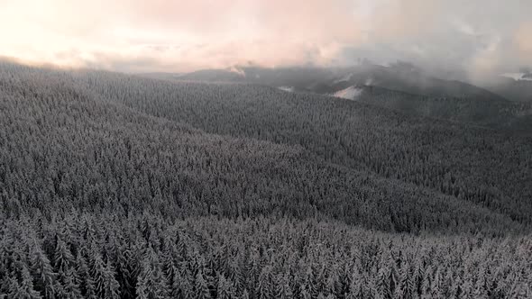 Drone Aerial Fly Above Winter Forest Unveiling Mountain Valley alt