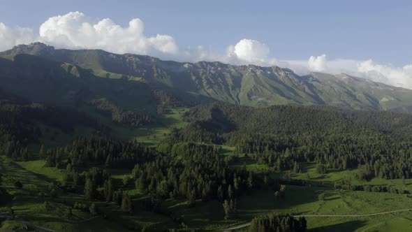 Aerial view Arkhyz mountain range summer landscape green trees spruces forest North Caucasus Russia alt