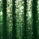 Abstract Deep Green Particle Confetti and Glitter Curtain - VideoHive Item for Sale