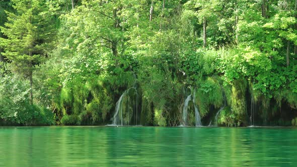 Plitvice Lake and Forest Waterfalls