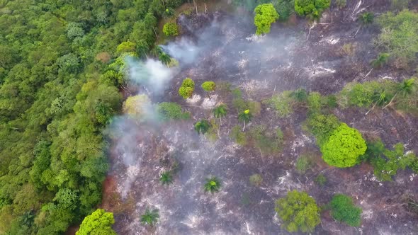 Aerial view over burnt nature a smoking deforestation area, lungs of earth on fire, wildfire in Sout alt