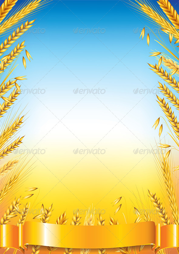 Wheat Frame on Field Vector Background by andegro4ka 