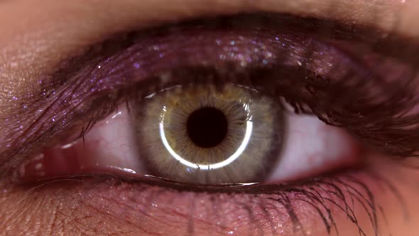 Macro View of Woman Eye with Glitter Shiny Makeup alt