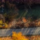 River and Road in Autumn - VideoHive Item for Sale