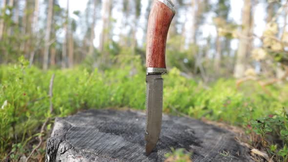 Hunting Knife on the Stump in the Forest alt