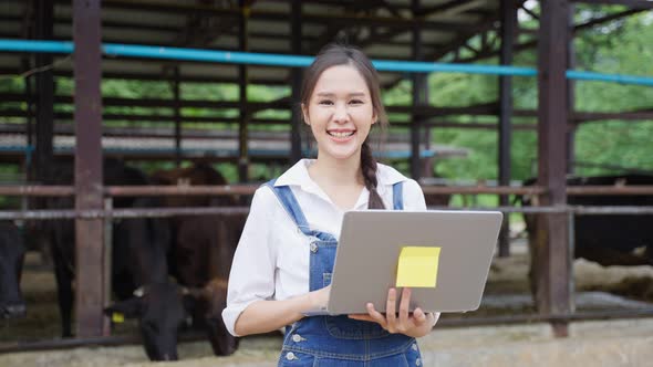 Portrait of Asian young dairy farmer woman work alone outdoors in farm. alt