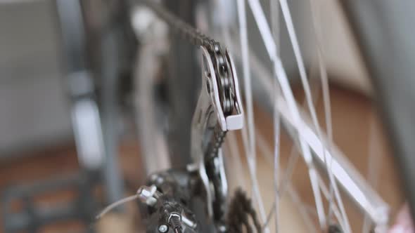 Chain of Bicycle Passes Through Tension Roller of Gear Shift System Closeup alt