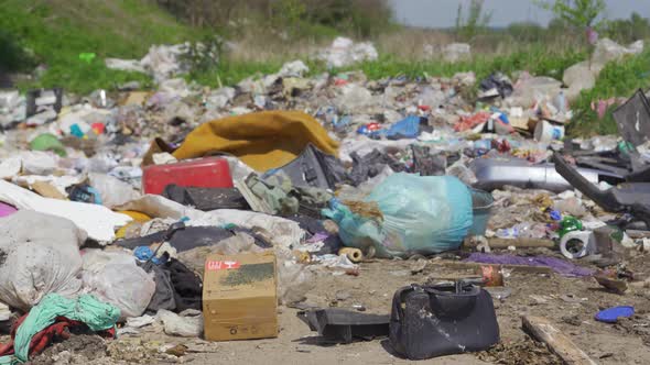 Landfill Garbage Flies, Waste Close Up