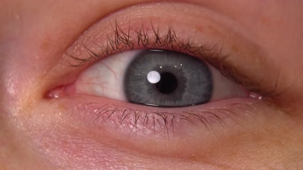 Close Up Female Eye Macro 