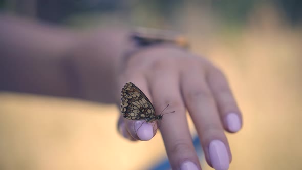 Girl Relax On Comfort Holidays Morning. Playful Butterfly On Finger. Leisure Vacation On Nature. alt