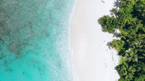Aerial Drone Footage Movement Above Tropical Paradise Sandy Beach Coastline with Coconut Palm Trees alt