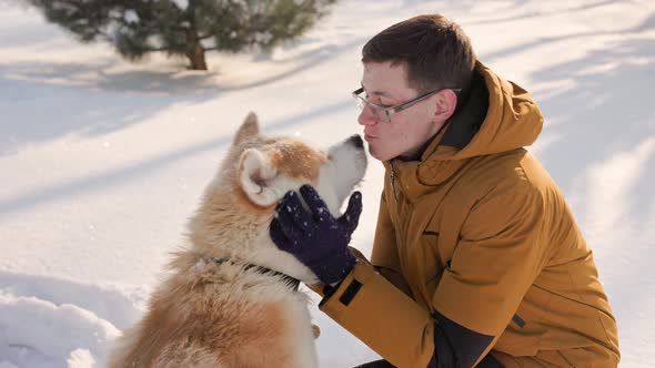 Young man with Akita Inu dog in park. Snowy winter background. Sunny day. alt