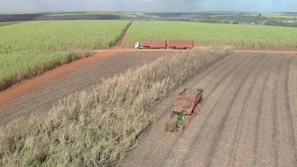 Closeup variety of shots showing harvesting machine cutting down ripe sugarcane crop ready to be tra alt