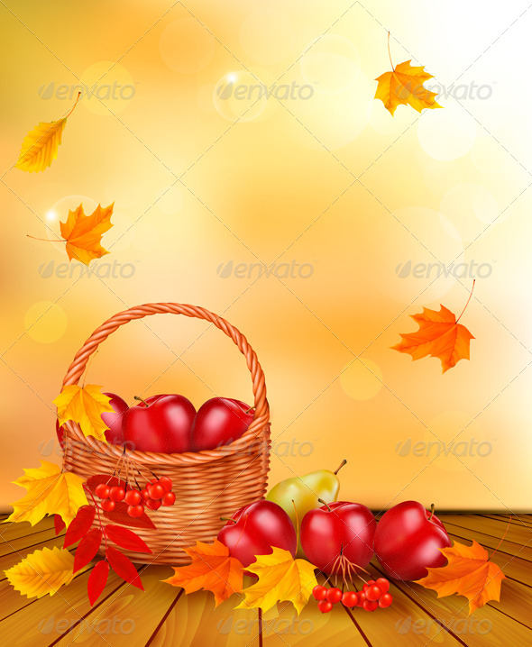 Autumn Background with Fresh Fruit in Basket. - Seasons Nature