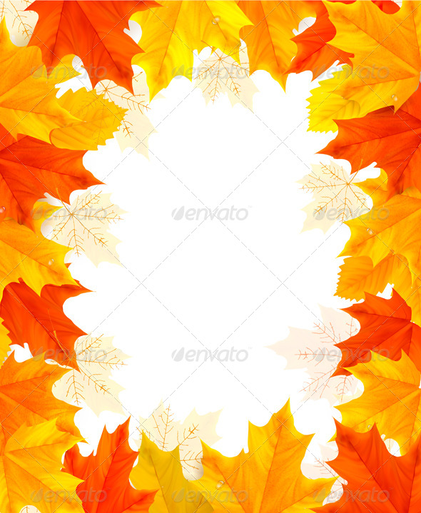 Autumn Background with Colorful Leaves. - Flowers & Plants Nature