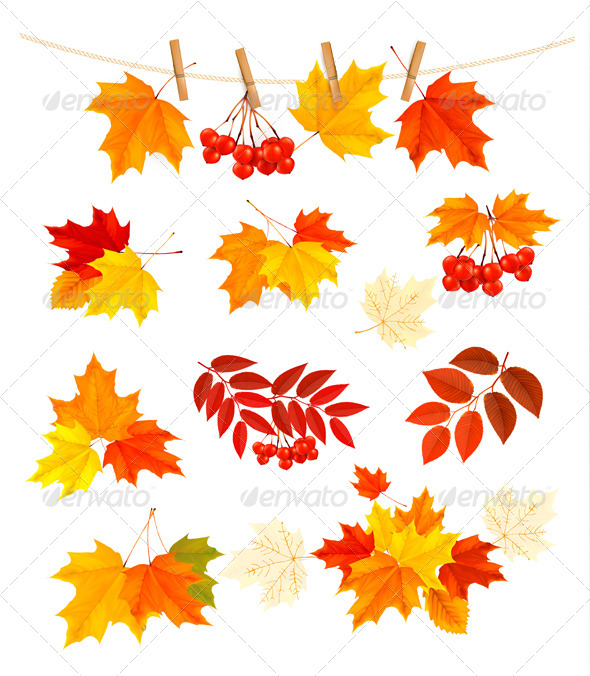 Autumn Background with Colorful Leaves - Nature Conceptual