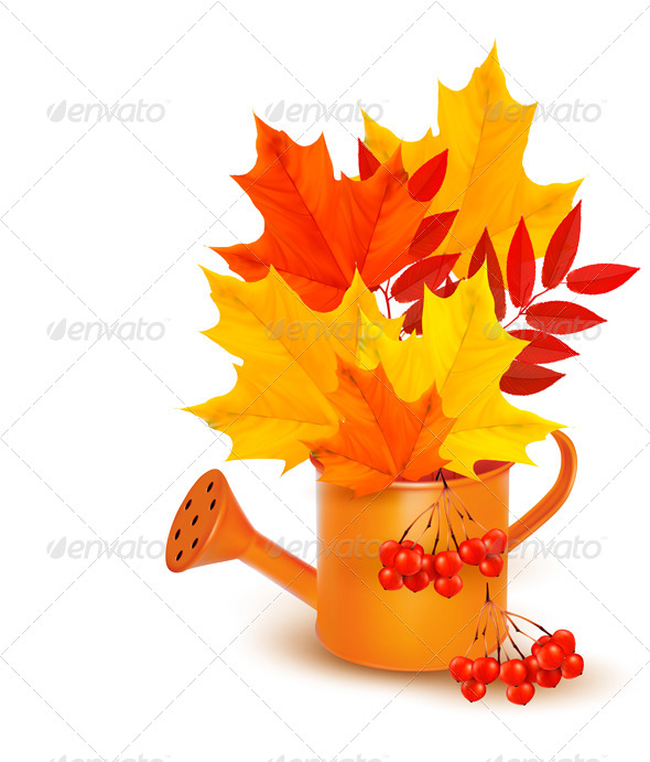 Autumn Background with Colorful Leaves - Seasons Nature