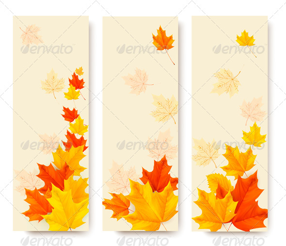 Three Autumn Banners with Colorful Leaves - Seasons Nature