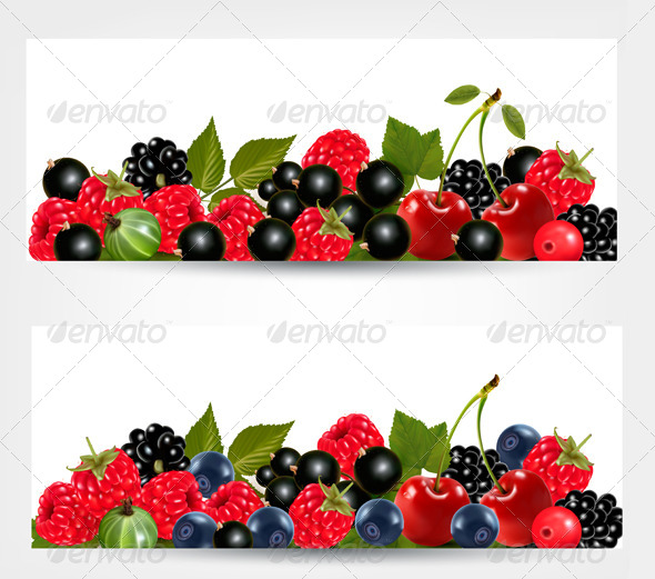 Two Banners with Delicious Ripe Berries - Food Objects