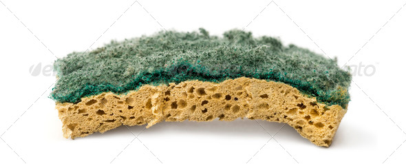 Old sponge, isolated on white - Stock Photo - Images