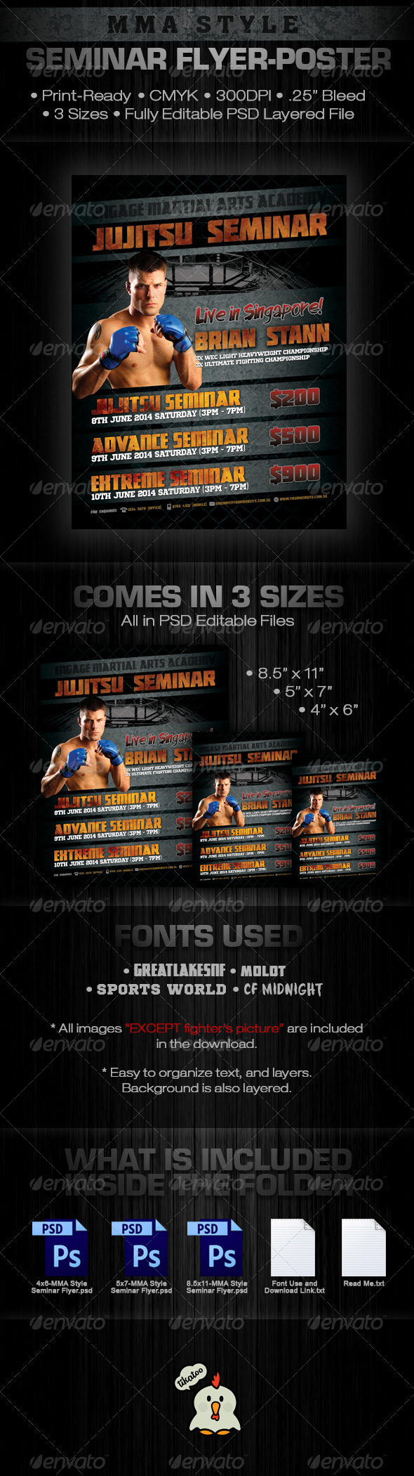 MMA Style Seminar Flyer - Sports Events
