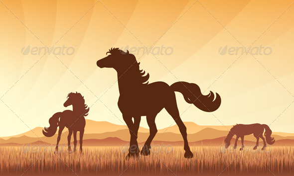 Horses on Field with Sunset Background - Animals Characters