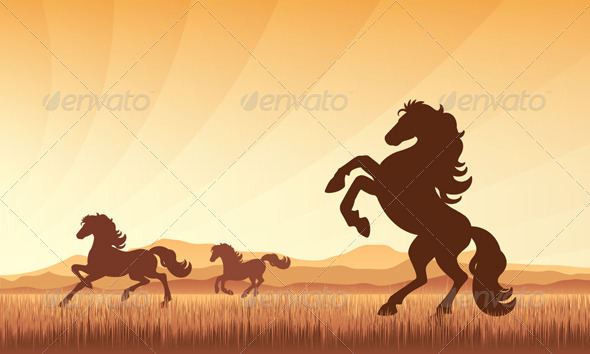 Horses on Field with Sunset Background - Animals Characters