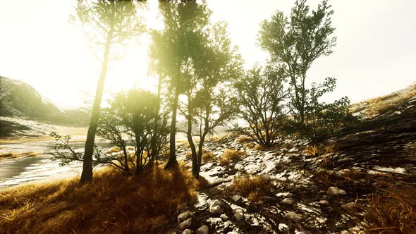 Scenic Landscape with Steep Cliffs and Trees During a Sunny Day alt