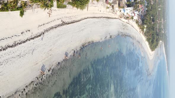 Zanzibar Tanzania  Vertical Video of the Ocean Near the Coast Slow Motion alt