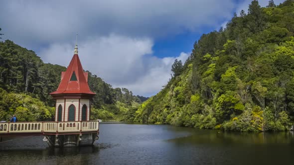 Wellington Zealandia alt