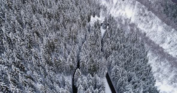 Forward Aerial Top View Over Hairpin Bend Turn Road in Mountain Snow Covered Winter Forest alt