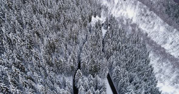 Forward Aerial Top View Over Hairpin Bend Turn Road in Mountain Snow Covered Winter Forest