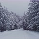 Snowy forest and road landscape. - VideoHive Item for Sale