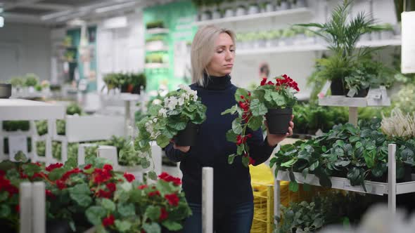 Attractive Business Woman Chooses Plastic Flowers for Her Interior alt