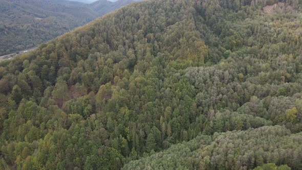 Nature of Ukraine: Carpathian Mountains Slow Motion. Aerial View alt