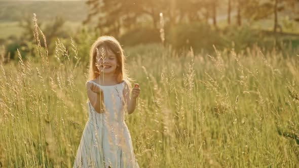 A Cute Girl with Flowing Hair in a White Summer Dress Stands in a Green Meadow Holding Spikelets in