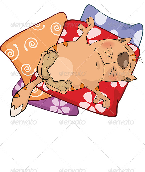 Cat on Pillows. Cartoon - Animals Characters