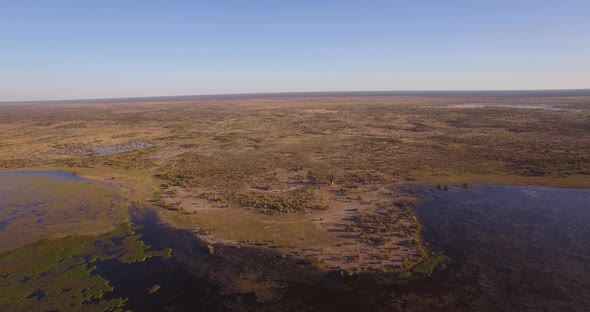 Swamp and Infinite Flat Plains