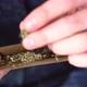 Close Up Marijuana Joint with Lighter. Man Rolling Marijuana Cannabis Blunt. Man Rolling a Marijuana - VideoHive Item for Sale